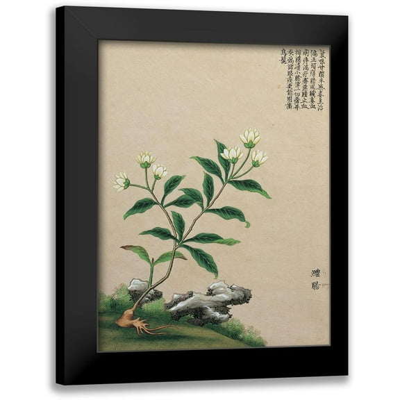 Unknown 12x14 Black Modern Framed Museum Art Print Titled - Oriental Flower I