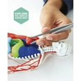 thumbnail image 4 of Ensemble Anatomie humaine Discovery, 4 of 6