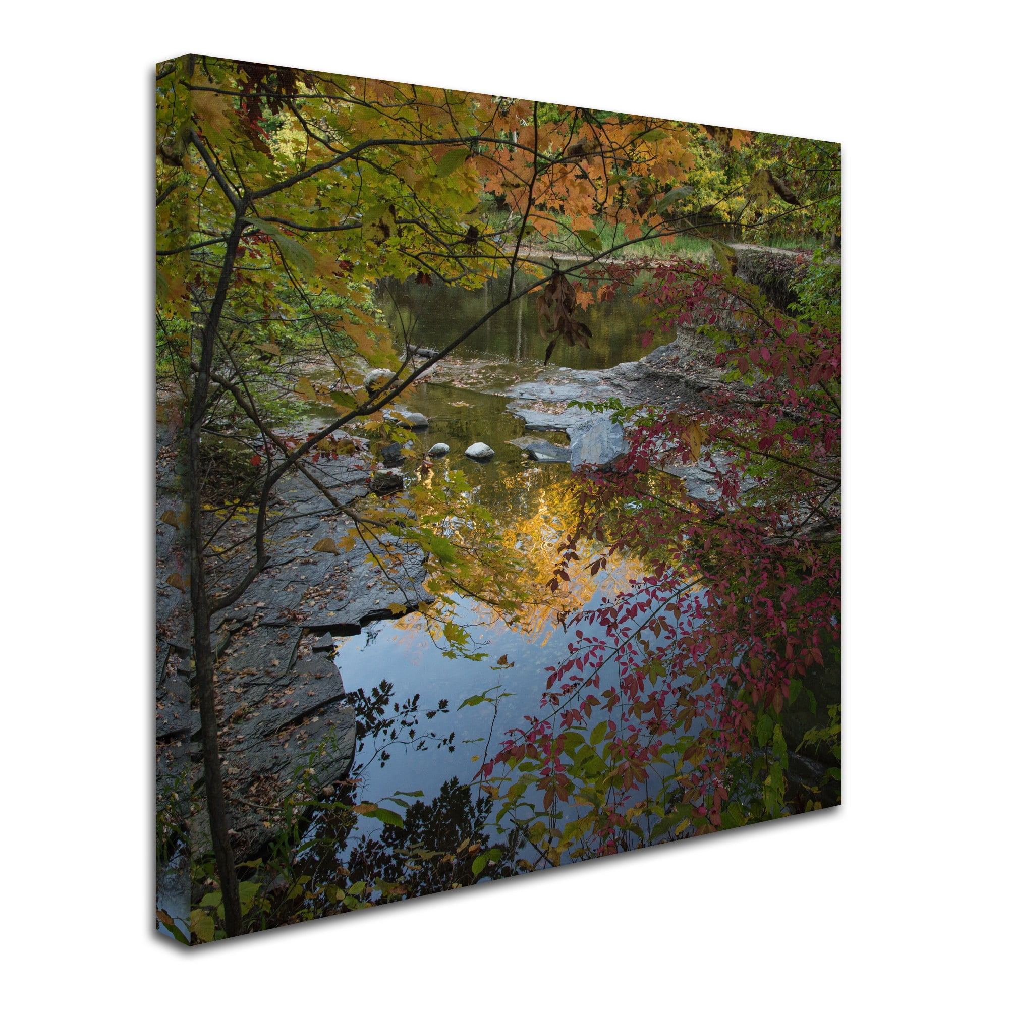 Trademark Fine Art "Why I Love Autumn 3" Canvas Art by Kurt Shaffer