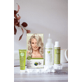 thumbnail image 3 of Naturtint 10A Light Ash Blonde Permanent Hair Color, 1 Pack (Packaging May Vary), 3 of 7