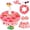 Style B(Pink), variant on Forfamy Hawaiian Goose Outfit Summer Porch Goose Outfits Bikini Goose Clothes Cute Goose Costume for Outdoor Garden Yard Decor