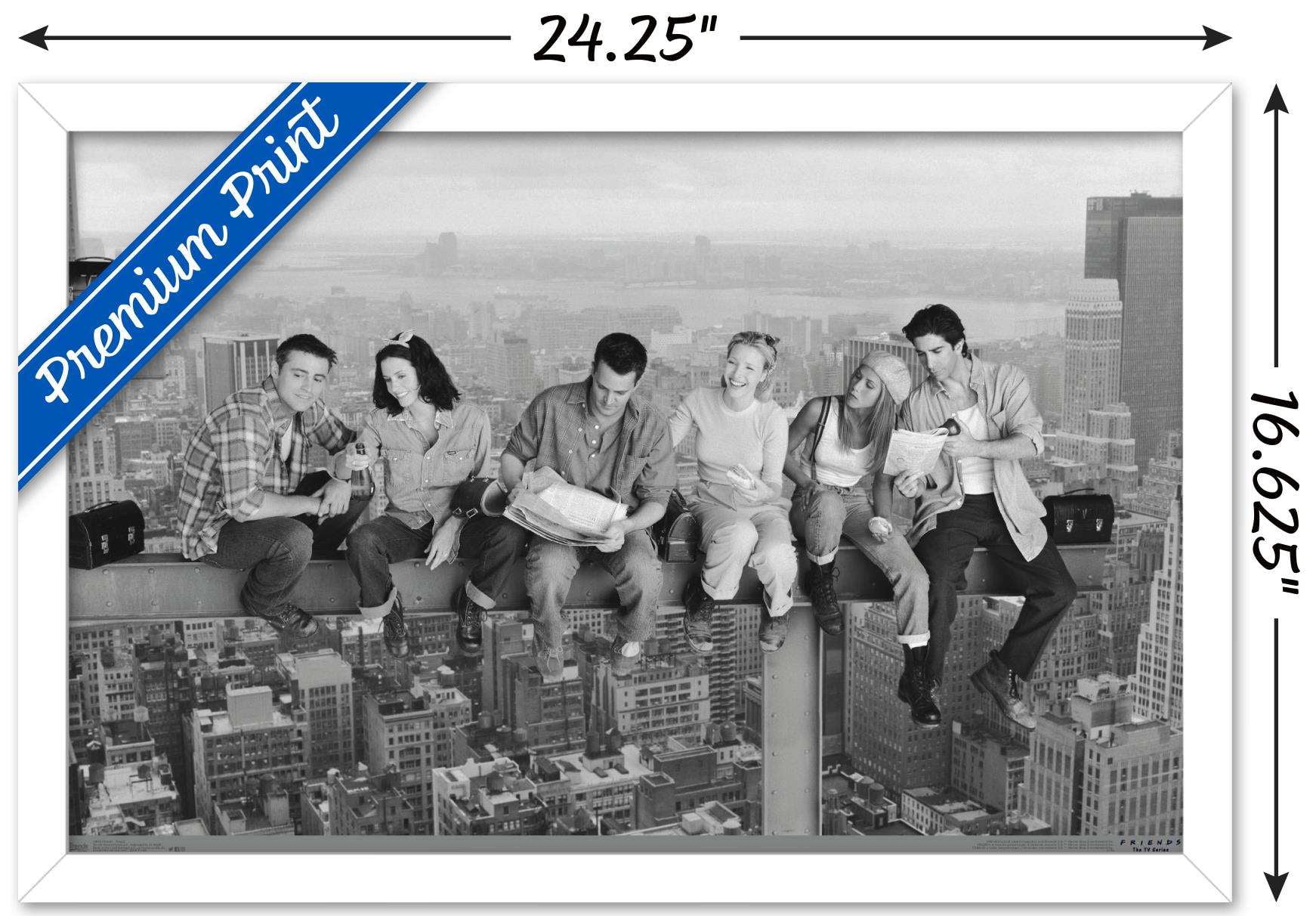 Friends - Posed Wall Poster, 14.725" x 22.375", Framed