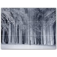 thumbnail image 1 of Picture-Tiles.com: Trees Ceramic Tile Wall Mural WAL501037-43XL. 48"W x 36"H using (12) 12" x 12" Ceramic Tiles-Satin Finish, 1 of 3