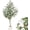 6ft, variant on Huisuilinss Artificial Olive Tree, 5FT/6FT/7FT Tall Faux Olive Trees,Fake Potted Silk Plant with Trunk and Realistic Leaves & Fruits for Modern Office Home Decor Indoor