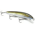 thumbnail image 2 of Rapala Husky Jerk 14 Fishing Lure 5.5" 5/8oz Firetiger, 2 of 2