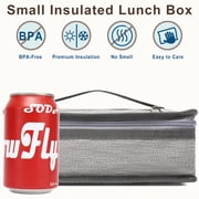 Fammart Lunch Box, Insulated Lunch Bag Mini Cooler with Handle for Women Men, Grey