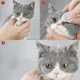 thumbnail image 2 of 130pcs Pet Wet Wipes Eye Tear Ear Stain Remover Non-woven Cleaning Wet Towels Dog Cat Grooming Supplies High Quality, 2 of 4