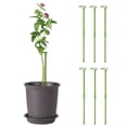 thumbnail image 1 of Varilla De Soporte 6 estacas de soporte para jardín de 50 cm,de fibra de vidrio,para plantas,ideales para tomates,rosas,vides,hortalizas y flores (verdes). Rkxzt, 1 of 3