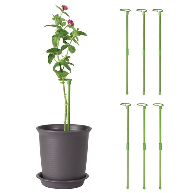 Varilla De Soporte 6 estacas de soporte para jardín de 50 cm,de fibra de vidrio,para plantas,ideales para tomates,rosas,vides,hortalizas y flores (verdes). Rkxzt