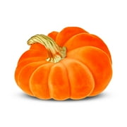 Wilted Pumpkin Decoration, Orange, 4", Halloween by Way To Celebrate