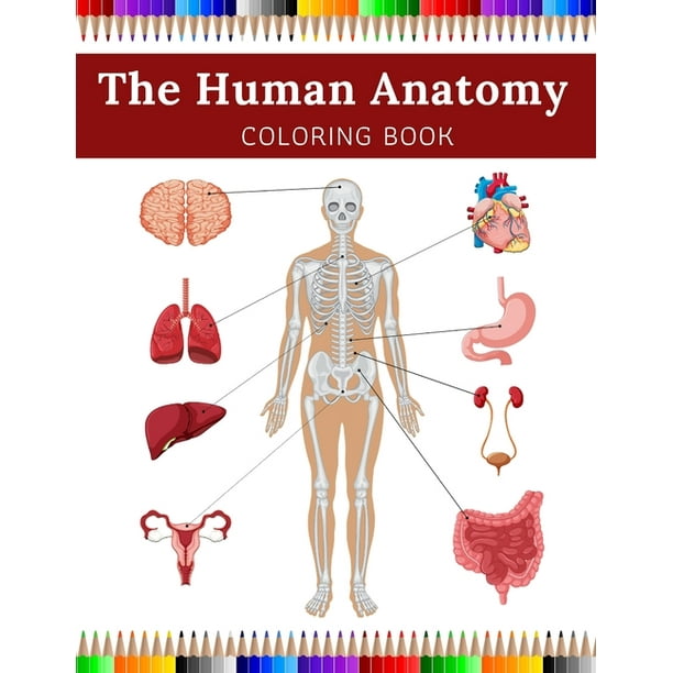 Download The Human Anatomy Coloring Book Paperback Walmart Com Walmart Com