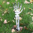 thumbnail image 2 of AMERTEER Simulation Humaine Tête de Crâne en Plastique Main Ensemble Squelette Halloween, 2 of 13
