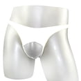 thumbnail image 2 of DPTALR Men's Erotic Underwear Semi Transparent Sexy Mesh Pants, 2 of 4