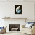 thumbnail image 3 of Stupell Industries Dark Nautilus Shell Nature Painting Gray Framed Art Print Wall Art, 24 x 30, 3 of 9