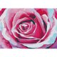 thumbnail image 1 of Full Crystal Round Drill Diamond Painting 5D Pink Flower Kit Póster (KA285) Tmvgtek Oficina Multiescena Multifunción, 1 of 9