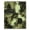 Green, Pattern 4, variant on ODIKA 6'x9' Machine Washable Non-Slip Area Rug, Abstract Sage Green High Traffic Rug, Green, 967608