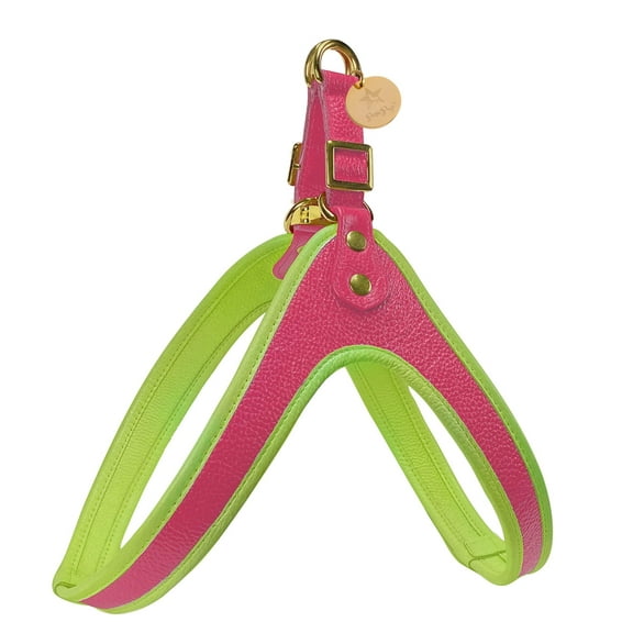 PoisePup Pet Dog Step-in Harness - Candy Swirl