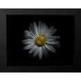 thumbnail image 2 of Carson, Brian 24x19 Black Modern Framed Museum Art Print Titled - Backyard Flowers White 60, 2 of 5