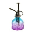 thumbnail image 1 of Embossed Glass Watering Can with Fine Mist Sprayer for Gentle Hydration and Decorative Garden Vase, 1 of 3
