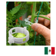 thumbnail image 1 of Anillo TUTOREO JITOMATE INVERNADERO INVERNADEROSMX Sujetador, 1 of 9