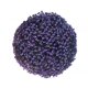 thumbnail image 1 of Planta de lavanda artificial simulación plástico prímula bola de paja topiario realista puerta colgante decoración de jardín Advancent HA8107-01B, 1 of 6