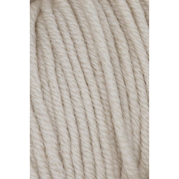 Plymouth - Worsted Merino Superwash Knitting Yarn - Natural Heather (# 082)