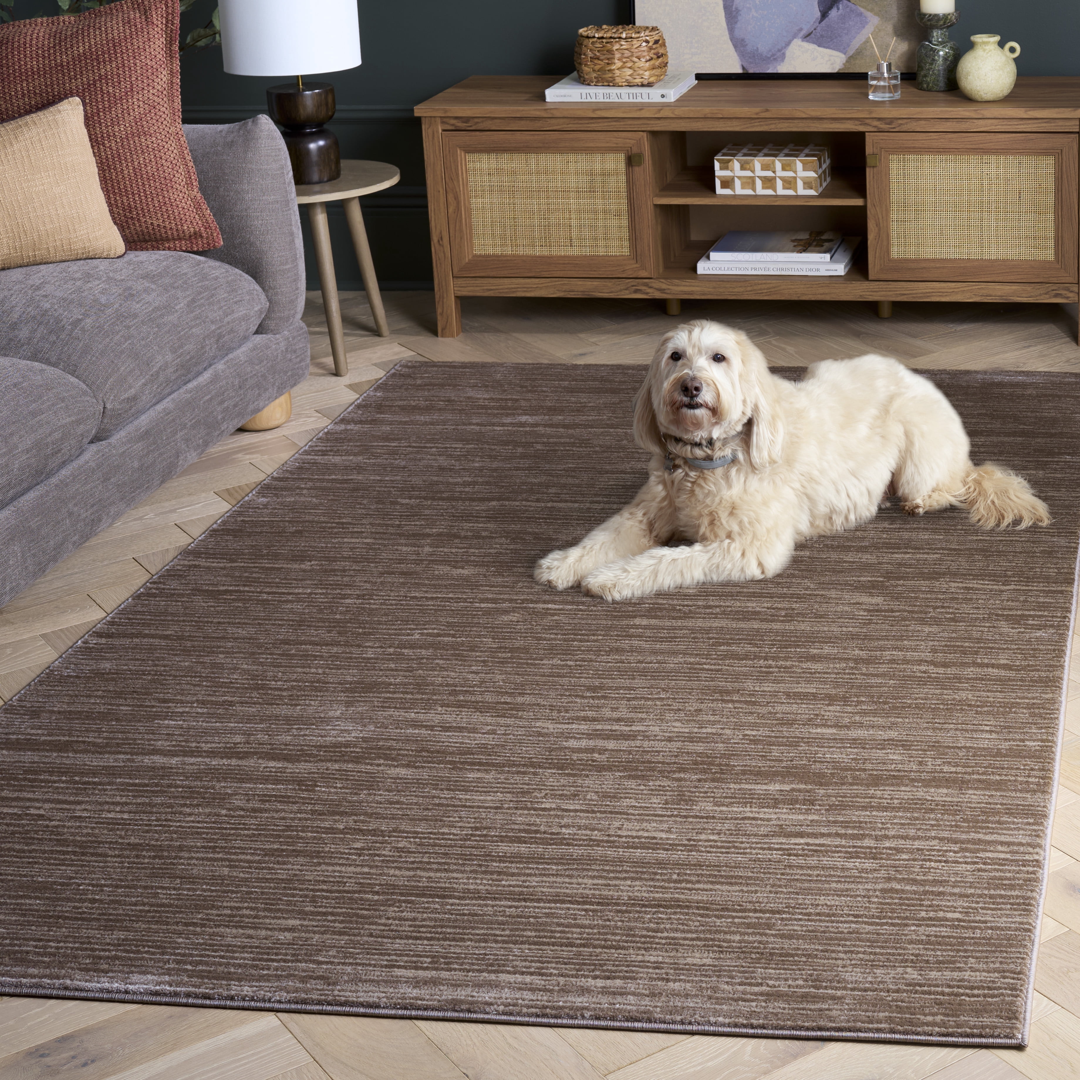 Safavieh Vision Adrasteia Distressed Area Rug, Light Brown, 6' x 8'