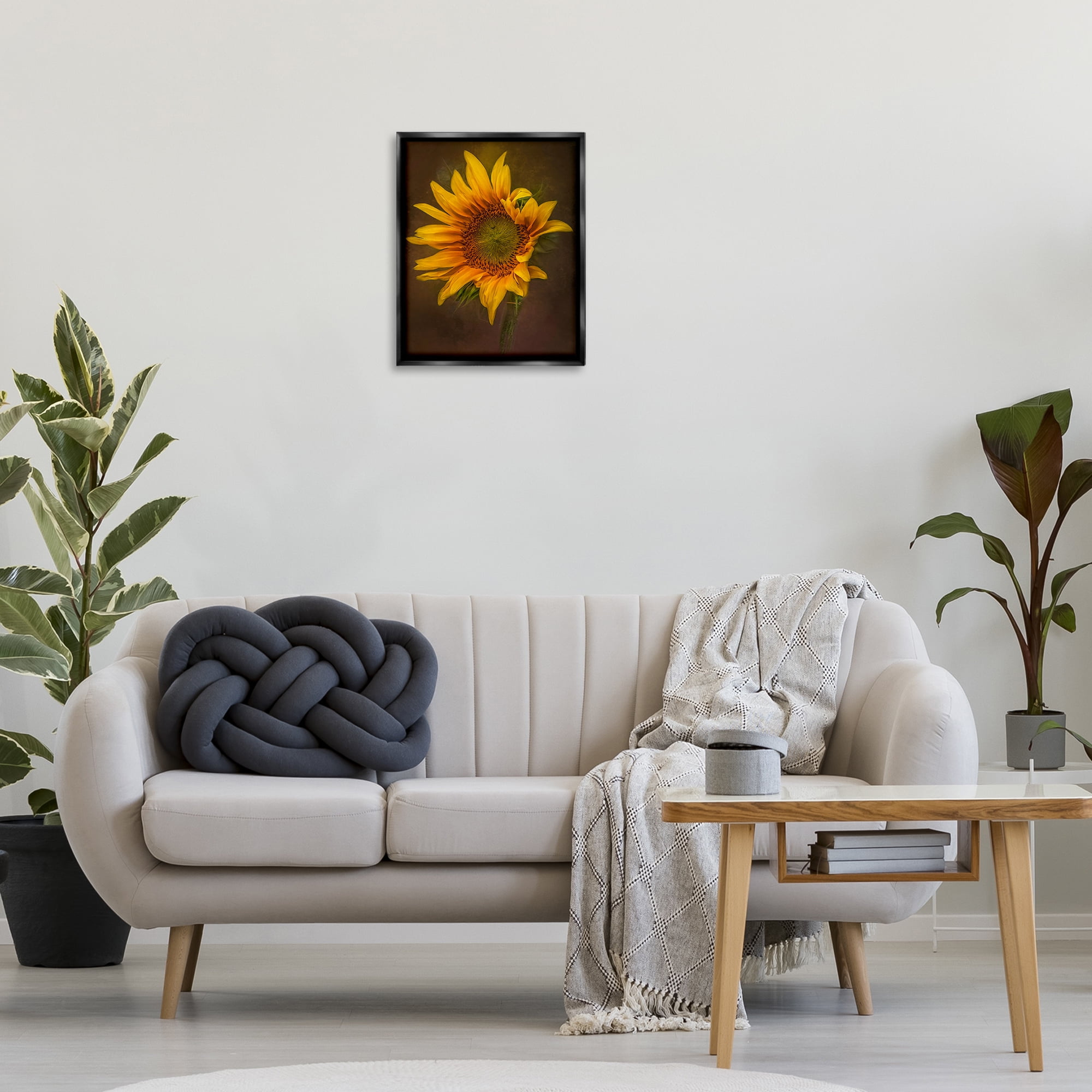 Stupell Industries Curling Petals Sunflower Plants & Flowers Painting Black Floater Framed Canvas Art Print Wall Art, 17 x 21