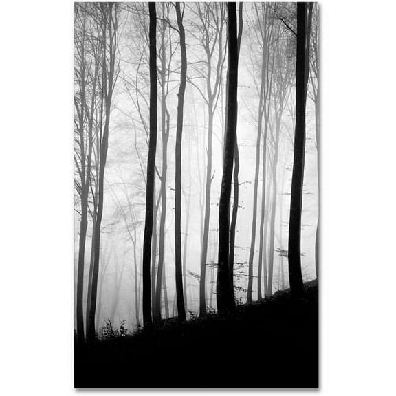 Trademark Fine Art "Black Lines" Canvas Art by Philippe Sainte-Laudy