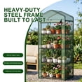thumbnail image 5 of JIOABL 4-Tier Mini Greenhouse with PE Cover, Portable Plant Grow House with Zipper Door & Steel Frame for Indoor Outdoor Garden, Green, 5 of 10