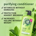 thumbnail image 3 of HERBAL ESSENCES Revitalisant Purifiant au Théier, 3 of 17