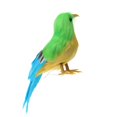 thumbnail image 3 of Adornos Realistas de Pájaro Pequeño Artificial Soledad 5 '' Decoración de árbol de Taxidermia # 1 pájaros de plumas, 3 of 5