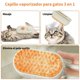 thumbnail image 4 of Cepillo Para Perro, Cepillo Para Gato con vapor, Recargable, 4 of 6