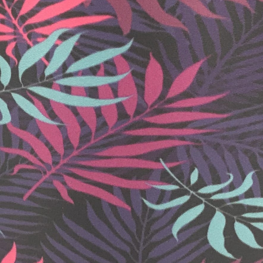 Fern