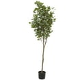 thumbnail image 6 of DecMode 70" Artificial Eucalyptus Tree in Realistic Leaves and Black Pot, 6 of 7