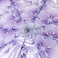 Dezsed Transparent Clear Umbrella Umbrella on Clearance Purple