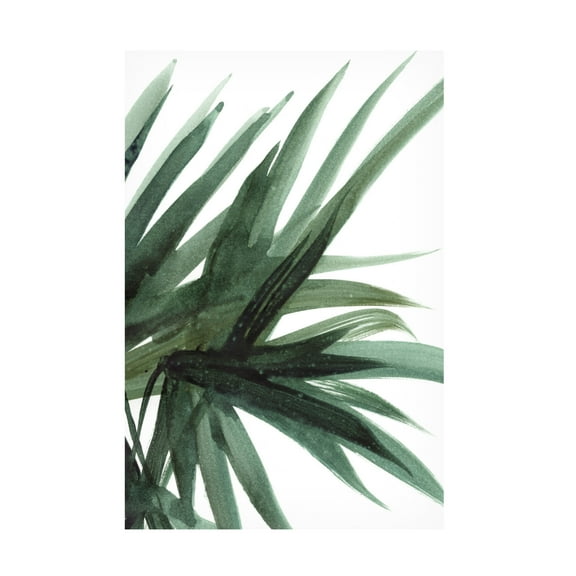 Trademark Fine Art Dan Hobday Lush Canvas Wall Art