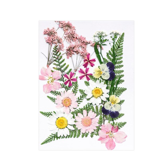 Flores prensadas secas para hacer manualidades, hermosos kits de hojas secas para álbumes de recortes, manualidades de boda, manualidades, joyería de , Mezclando Soledad flores secas prensadas