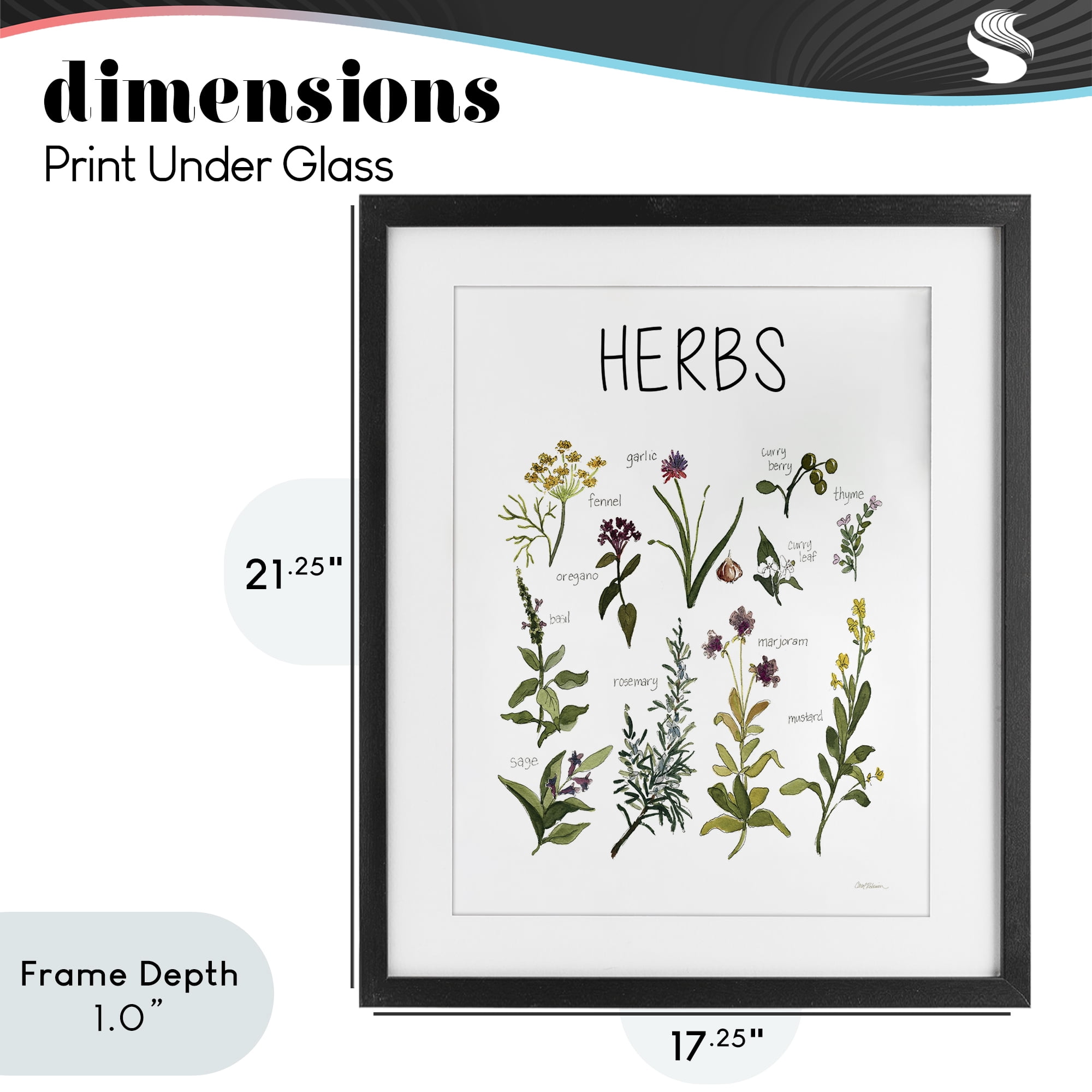 Stupell Industries Herbs Identification Chart Black Framed Print Under Glass, design by Carol Robinson