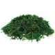 thumbnail image 1 of BRIGHTFUFU 1 paquete de terrario de musgo artificial preservado, musgo verde, centro de mesa de jardinería, decoración de bonsái (aprox. 20 g), 1 of 7