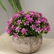 thumbnail image 2 of Planta Artificial En , Faux Plástico Falso Melaleuca Bonsai interior y exterior Hogar Jardín Oficina Boda Decoración Para -13cm / 5.12 '' - Púrpura Colco Flor en maceta de Gypsophila falsa, 2 of 8