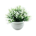 thumbnail image 4 of Planta falsa en maceta, decoración de bonsái Artificial, bonsái de imitación pequeño, plantas falsas para decoración del hogar, escritorio, estante de Blanco, 4 of 8