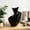 83#Black, variant on Modern Abstract Printed Vase Decorative Flower Vase, Artistic Irregular Shape With Modern Elegant Style For Living Room Bedroom Office Desk Home Interior Decor Accent Piece