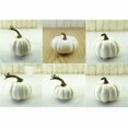thumbnail image 2 of Monstrate 6 piezas de espumas DIY calabaza diseño de escena interesante accesorios de pintura decoración de Halloween accesorios de adorno de Kits de decoración para fiestas, 2 of 6