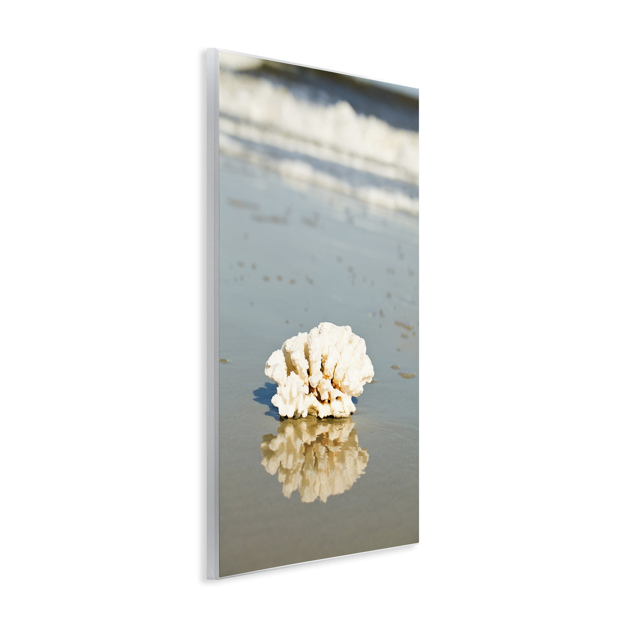 Stupell Industries Coral on Sea Shore Coastal Photography Unframed Art Print Wall Art, 10 x 15