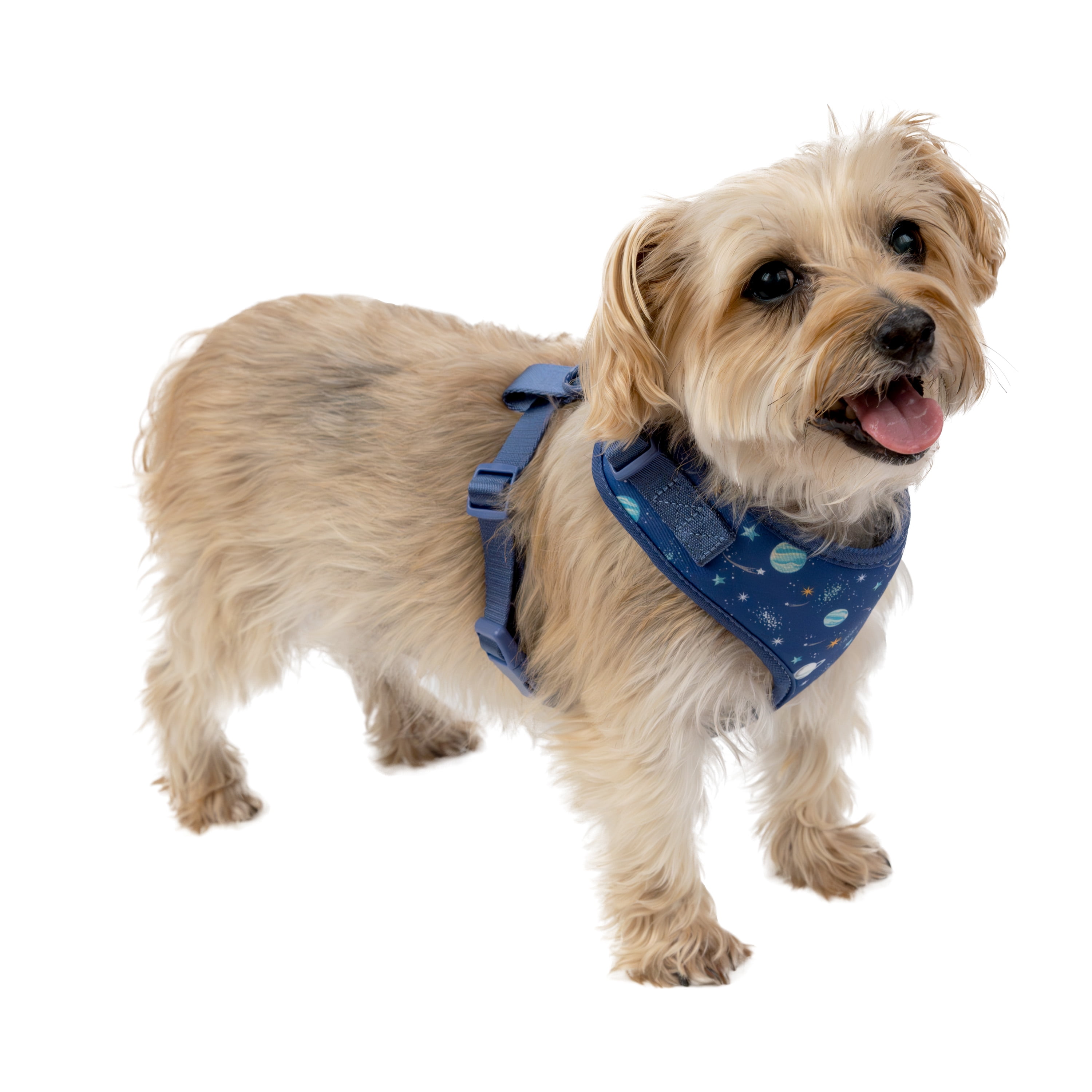 Vibrant Life 80064469 Polyester & Spandex Space Adventures Adjustable Dog Harness, Blue, Small