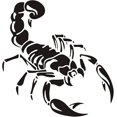 thumbnail image 1 of Car Sticker Vinyl Decal Sticker for 3D Scorpion Pattern Cool Auto Decal Paste Decoration 2pcs, 1 of 4