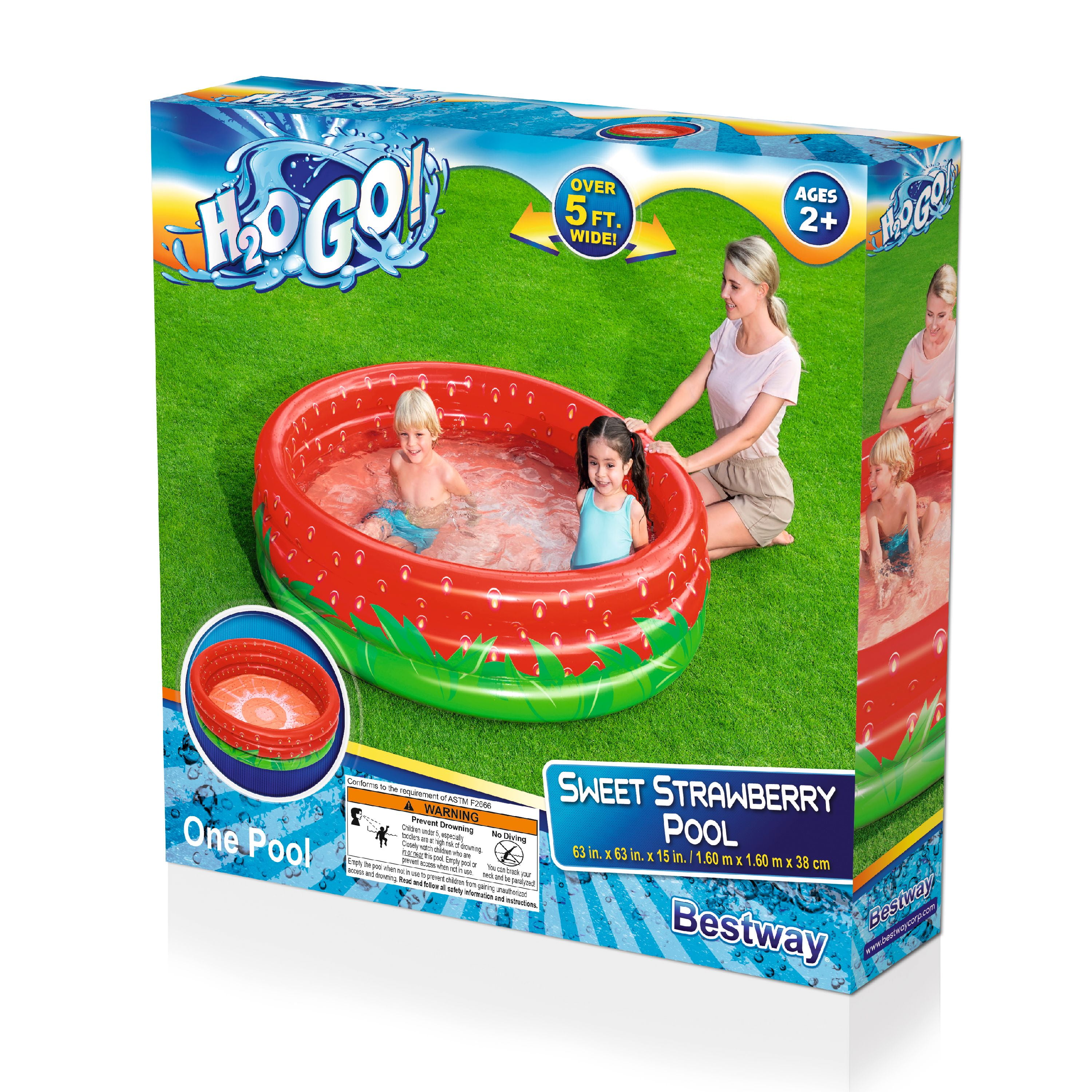 Bestway H2go Play Pool Set  Baby Pool Ring Ball Set 