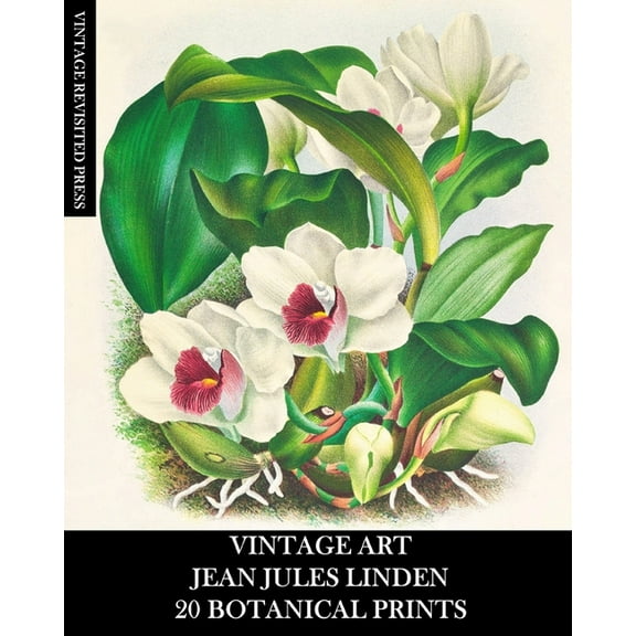 Vintage Art: Jean Jules Linden: 20 Botanical Prints: Orchid Ephemera for Framing, Home Decor, Collage and Decoupage, (Paperback)