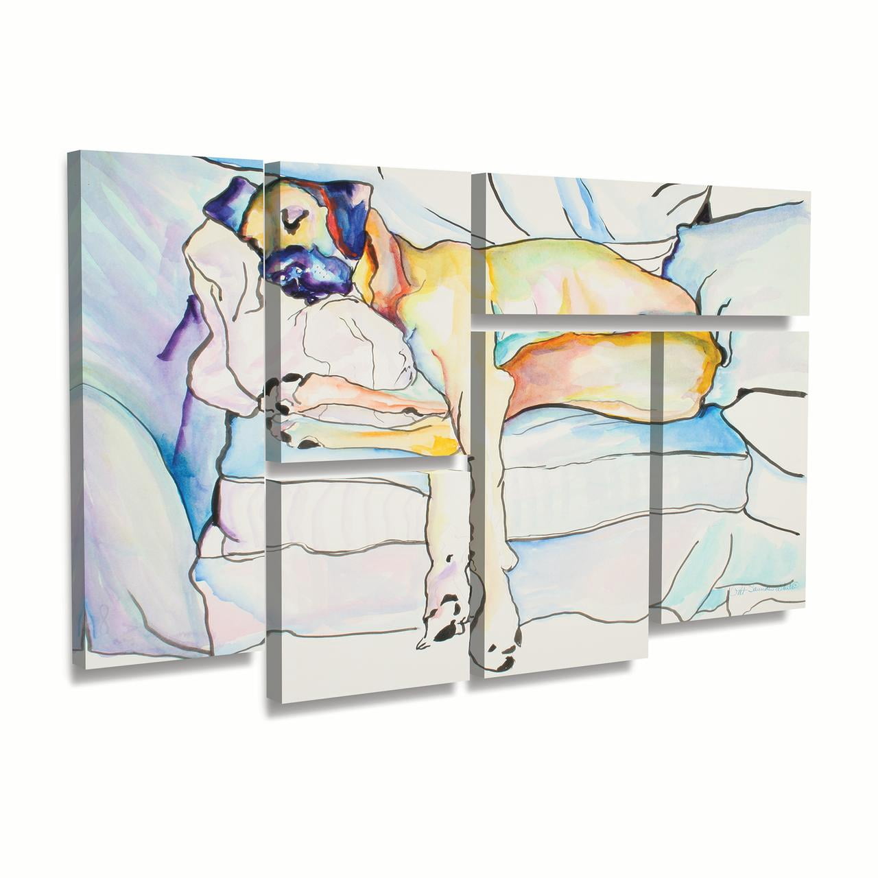 Trademark Fine Art 'Sleeping Beauty' Canvas Art by Pat Saunders-White